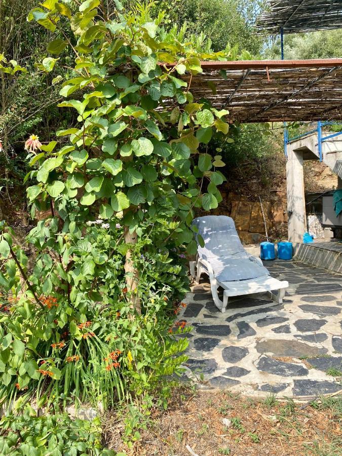Guest Room Agro-Turismo Quinta Da Fonte Bed&Breakfast Figueiro Dos Vinhos Exterior photo