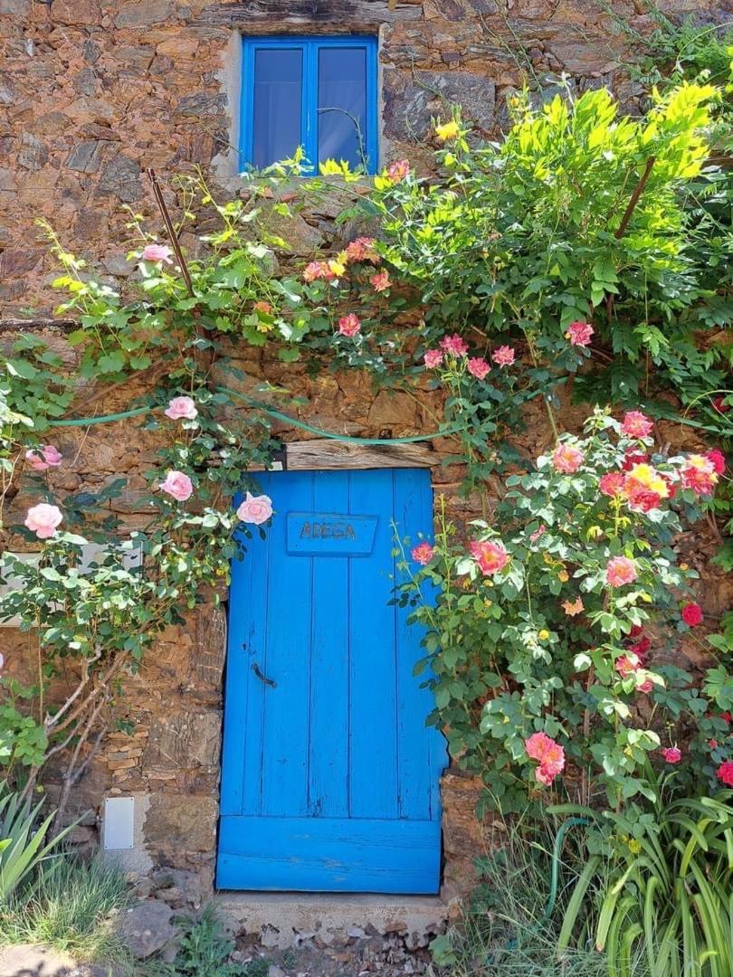 Guest Room Agro-Turismo Quinta Da Fonte Bed&Breakfast Figueiro Dos Vinhos Exterior photo