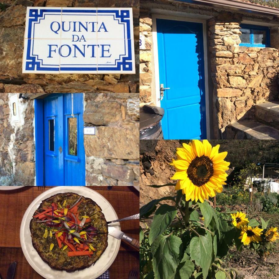 Guest Room Agro-Turismo Quinta Da Fonte Bed&Breakfast Figueiro Dos Vinhos Exterior photo